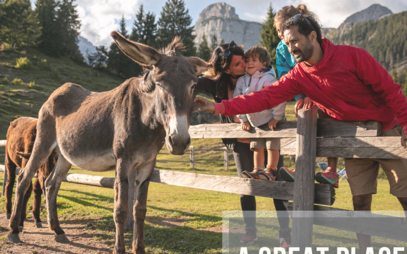 5 Days Dolomiti Paganella, a great place for families